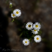 3rd Aug 2025 - Day215