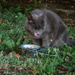 Lara, her dinner and her tongue