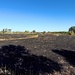 Grass Fire