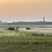 Cooling fields just after sunset