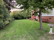 10th Aug 2025 - After The Rain 