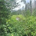 The Green Valley 