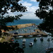 Dysart harbour 