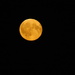 English moon