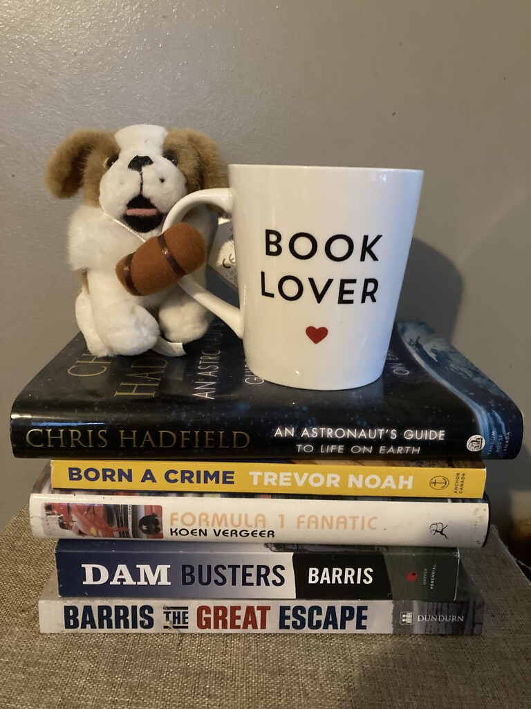 Book Lovers Day  by spanishliz