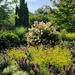Visiting the Arboretum 