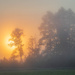 Morning fog