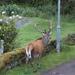 Caught in the Act!
