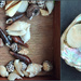 I love collecting shells