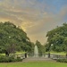 Hampton Park sunset