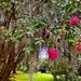 Hampton Park
