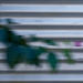 August Abstract #9 - Blurred