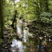 Still waters