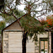 Old House in Hawker SA
