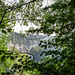 Through the foliage