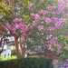 A Banking Tree