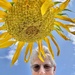 Silly Sunflower Selfie