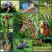 Sculptures