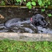 Bathtime! 