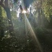 IMG_20250810_190819