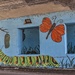 Butterfly Stages