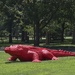 Alligators in the City