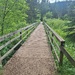 The Bridge