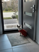 11th Aug 2025 - Waiting 