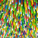 Rally By Nike Savvas