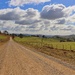 Sunday drive....