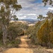 The road home