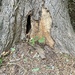 Hole 