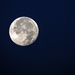 Setting moon