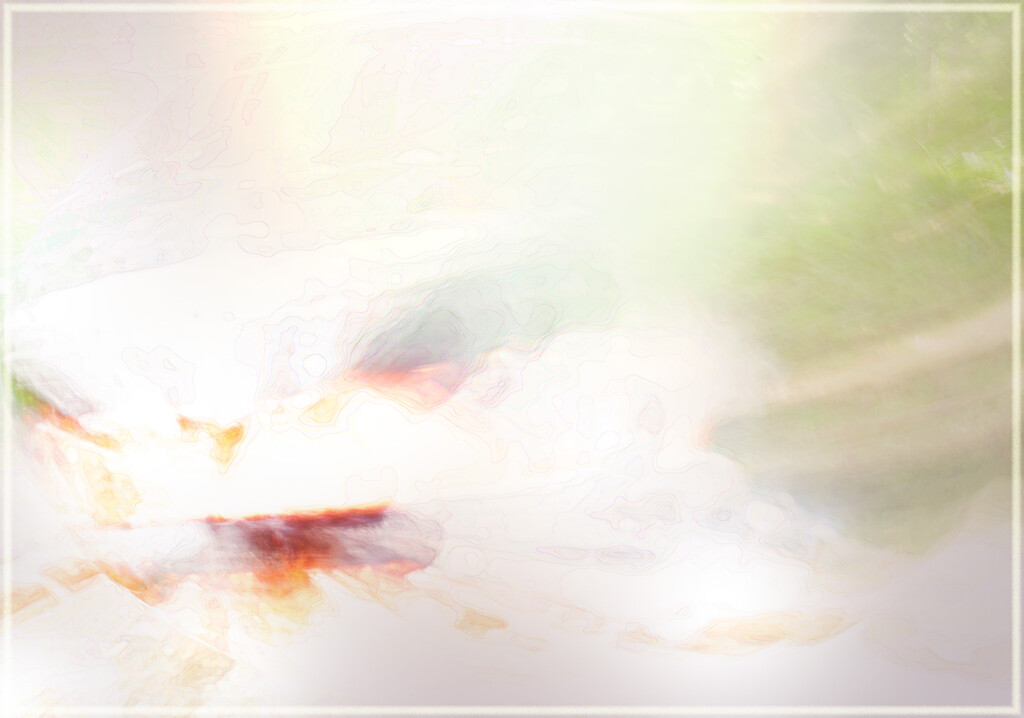 Things are not always what they seem by 365projectorgchristine