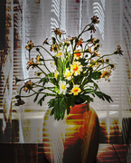 8th Aug 2025 - Day220