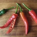 Red Hot Chilli Peppers?