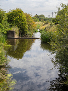 11th Aug 2025 - 64/365