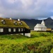 Viðareiði