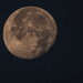Sturgeon Full Moon