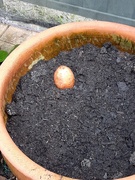 12th Aug 2025 - Attempt #3