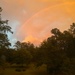 How about an orange rainbow...