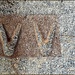 Double V