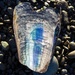 Found this broken horse mussel and liked the colour shown sooc 