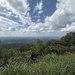 Along the Foothills Parkway