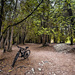 Bicycle, Bicycle, Bicycle