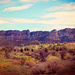 Rawnsley Lookout—Flinders Ranges