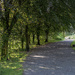 Dappled