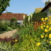 in the garden at St Cross