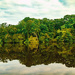 River Bank