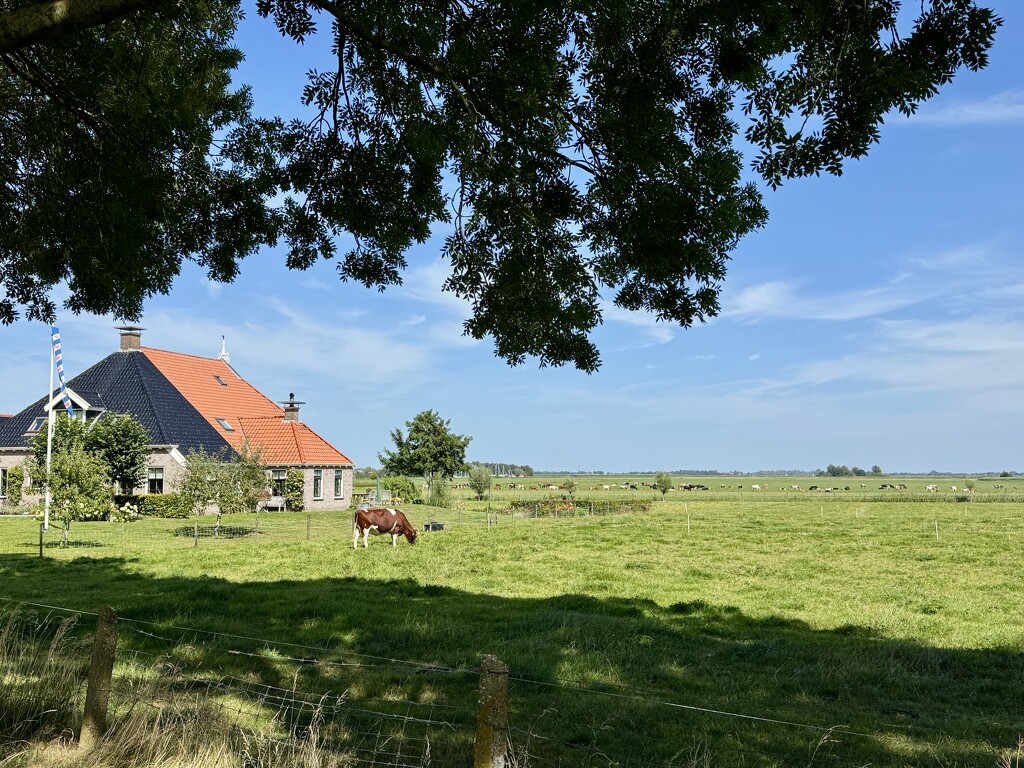 A Frisian idyll by stimuloog